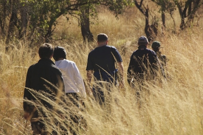 Three Tree Hill Guided Walks